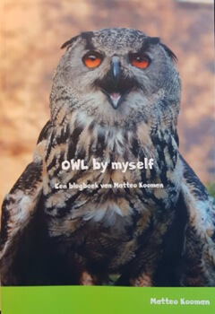 Cover OWL by myself